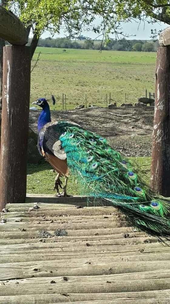 Estancia Turistica Finca Piedra Mal Abrigo Dış mekan fotoğraf